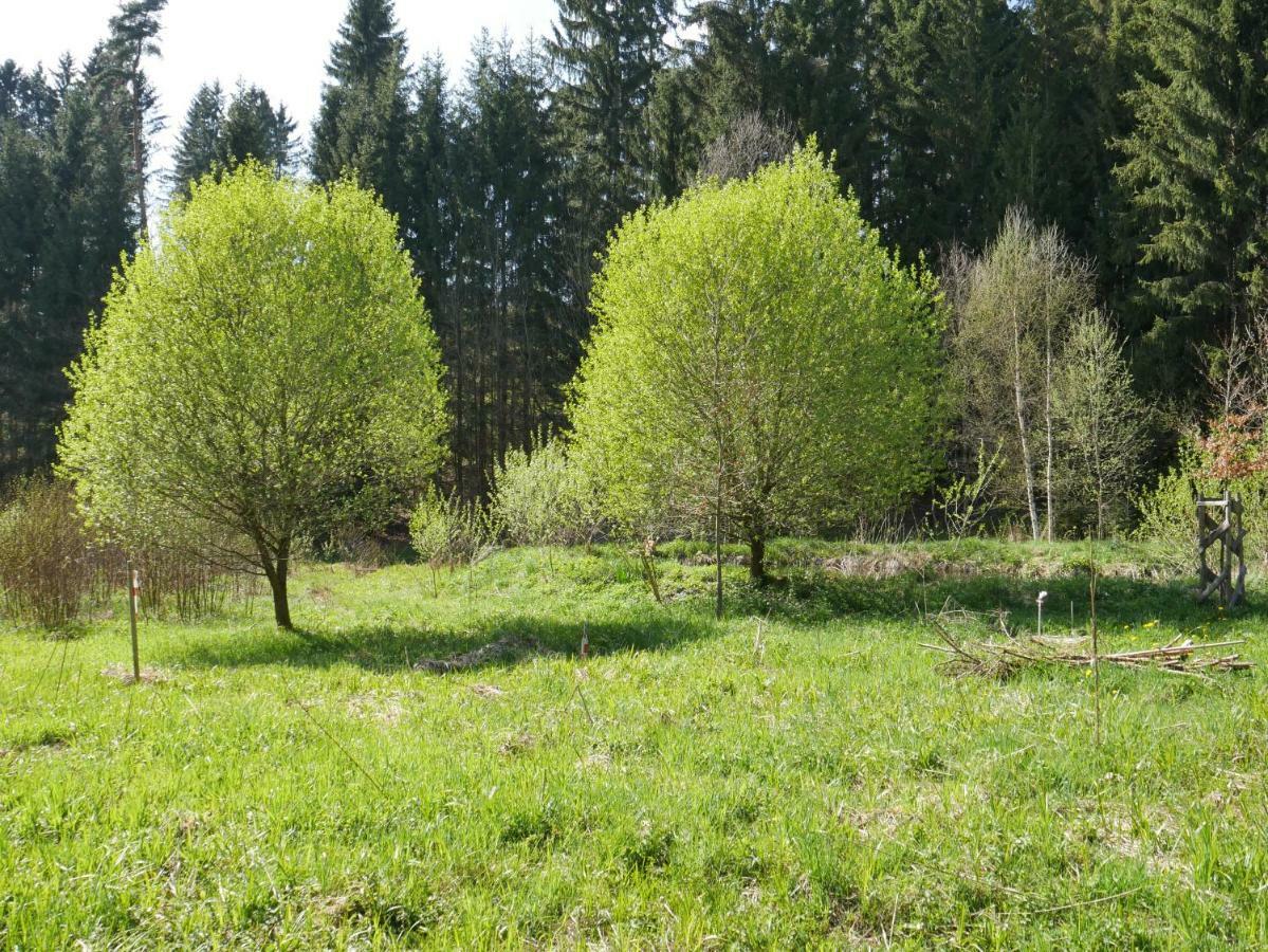 Gruenlasmuehle Бранд Екстериор снимка